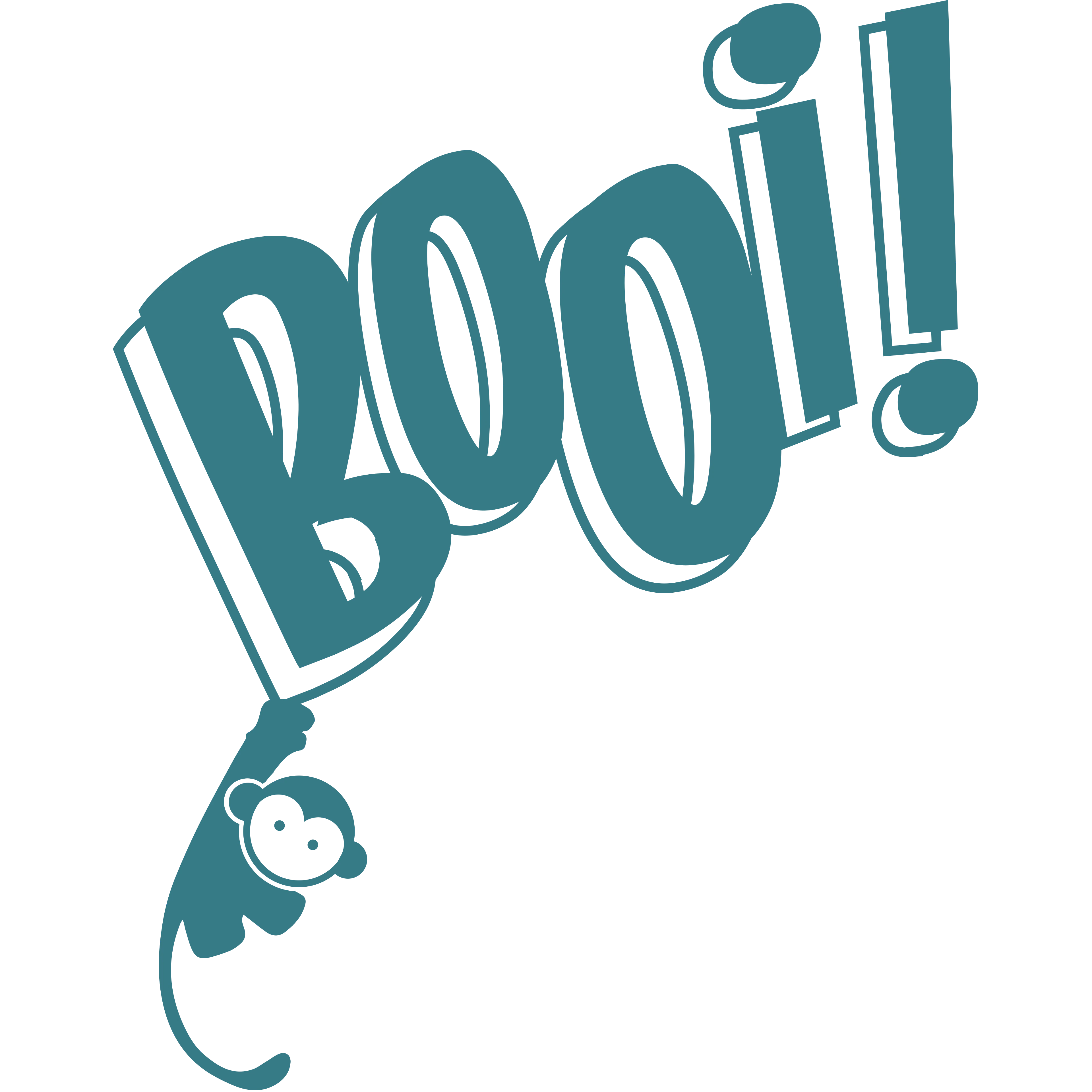 Booi Casino